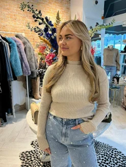 Shop Big Ribbed Col Top Taupe Tops & Blousjes