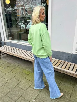 Best Ibiza Sweater Mint Truien