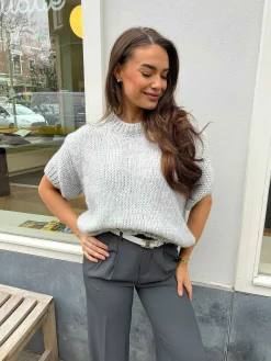 Clearance Kiki Sweater Short Sleeve Light Grey Truien