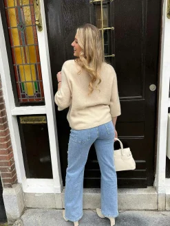 Online Suze Short Sleeve Sweater Beige Truien